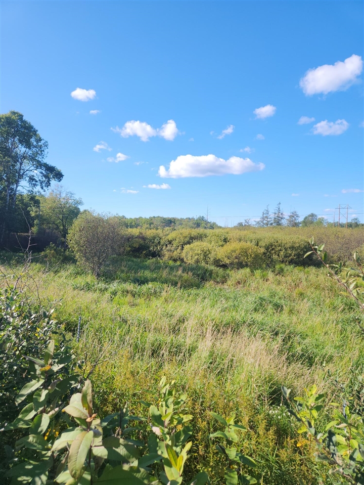 Photo 4 of Land for sale at 00 18 Mile Rd, Le Roy, MI 49655 | MLS# 70558001 | Listing updated on 2026-09-15