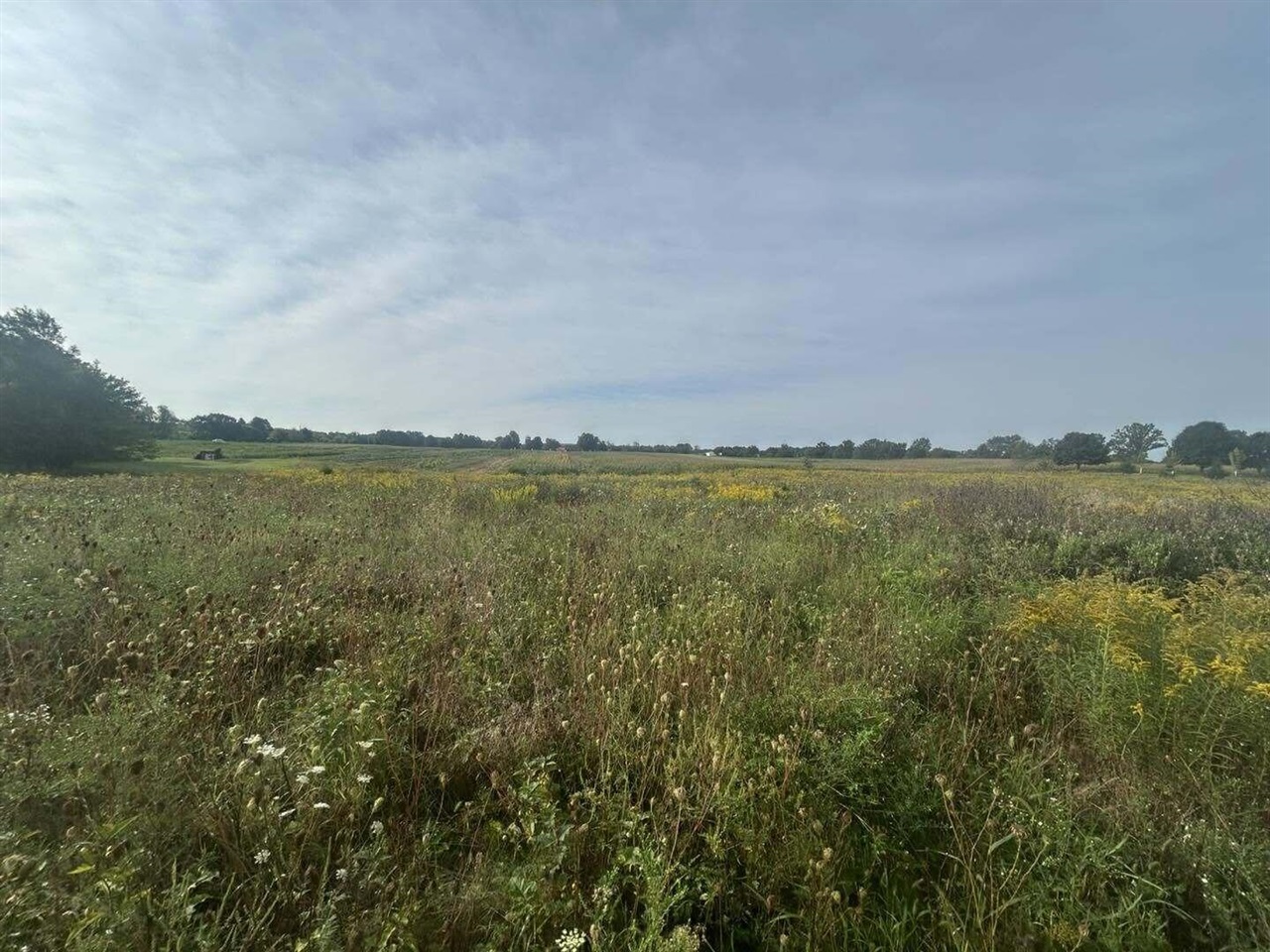 Photo 3 of Land for sale at 0 V/l Warner Rd, Concord, MI 49237 | MLS# 70558155 | Listing updated on 2026-09-20