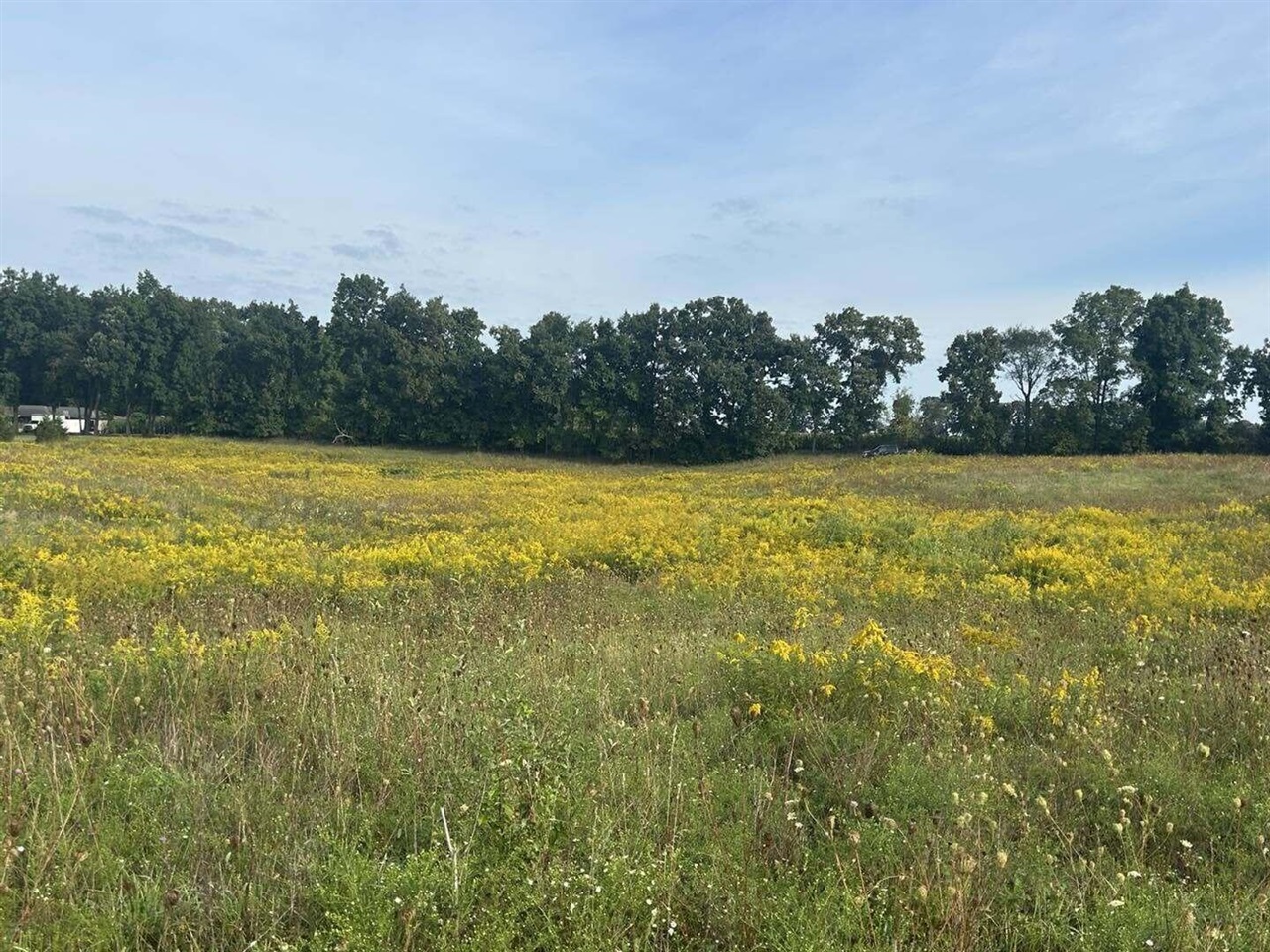 Photo 4 of Land for sale at 0 V/l Warner Rd, Concord, MI 49237 | MLS# 70558155 | Listing updated on 2026-09-20