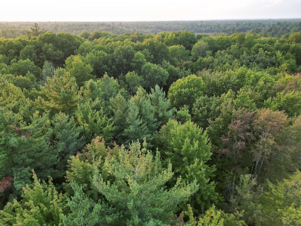 Photo 1 of Sale Pending at Vl S Morrison Rd, Alger, MI 48610 | MLS# 70558216 | Listing updated on 2026-09-14
