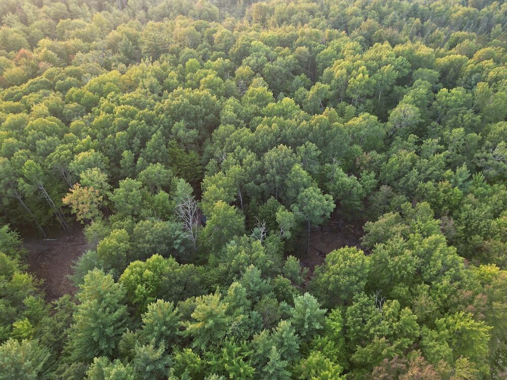 Photo 2 of Sale Pending at Vl S Morrison Rd, Alger, MI 48610 | MLS# 70558216 | Listing updated on 2026-09-14