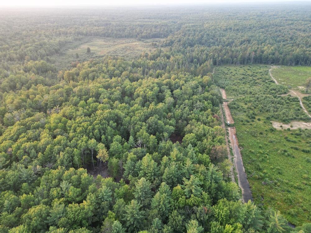 Photo 3 of Sale Pending at Vl S Morrison Rd, Alger, MI 48610 | MLS# 70558216 | Listing updated on 2026-09-14
