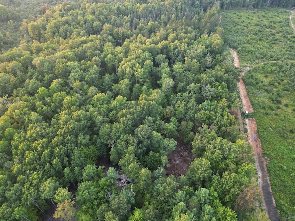 Photo 3 of Sale Pending at Vl S Morrison Rd, Alger, MI 48610 | MLS# 70558216 | Listing updated on 2026-09-14