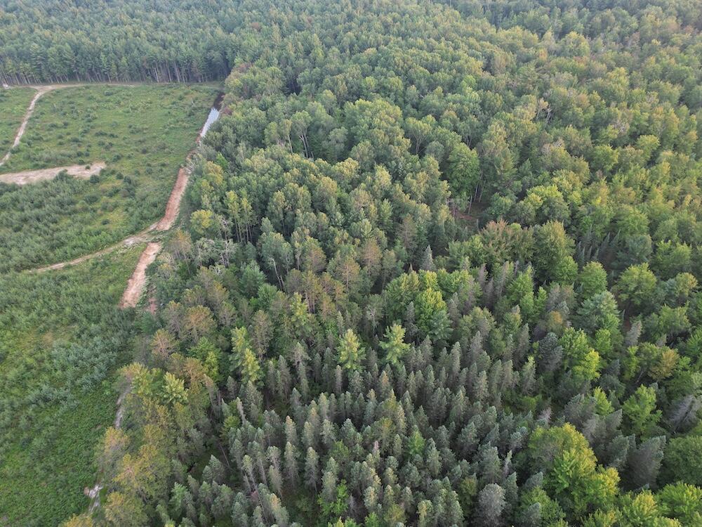 Photo 4 of Sale Pending at Vl S Morrison Rd, Alger, MI 48610 | MLS# 70558216 | Listing updated on 2026-09-14