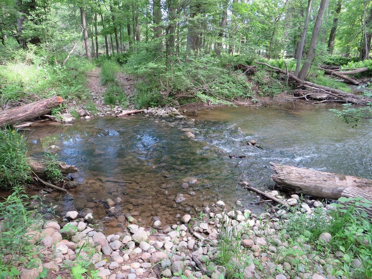 Photo 2 of Land for sale at Vl Rescue Rd, Update, MI 48754 | MLS# 70558357 | Listing updated on 2026-09-13