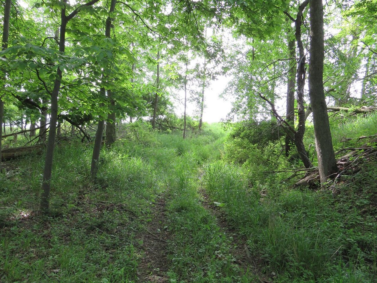 Photo 3 of Land for sale at Vl Rescue Rd, Update, MI 48754 | MLS# 70558357 | Listing updated on 2026-09-13