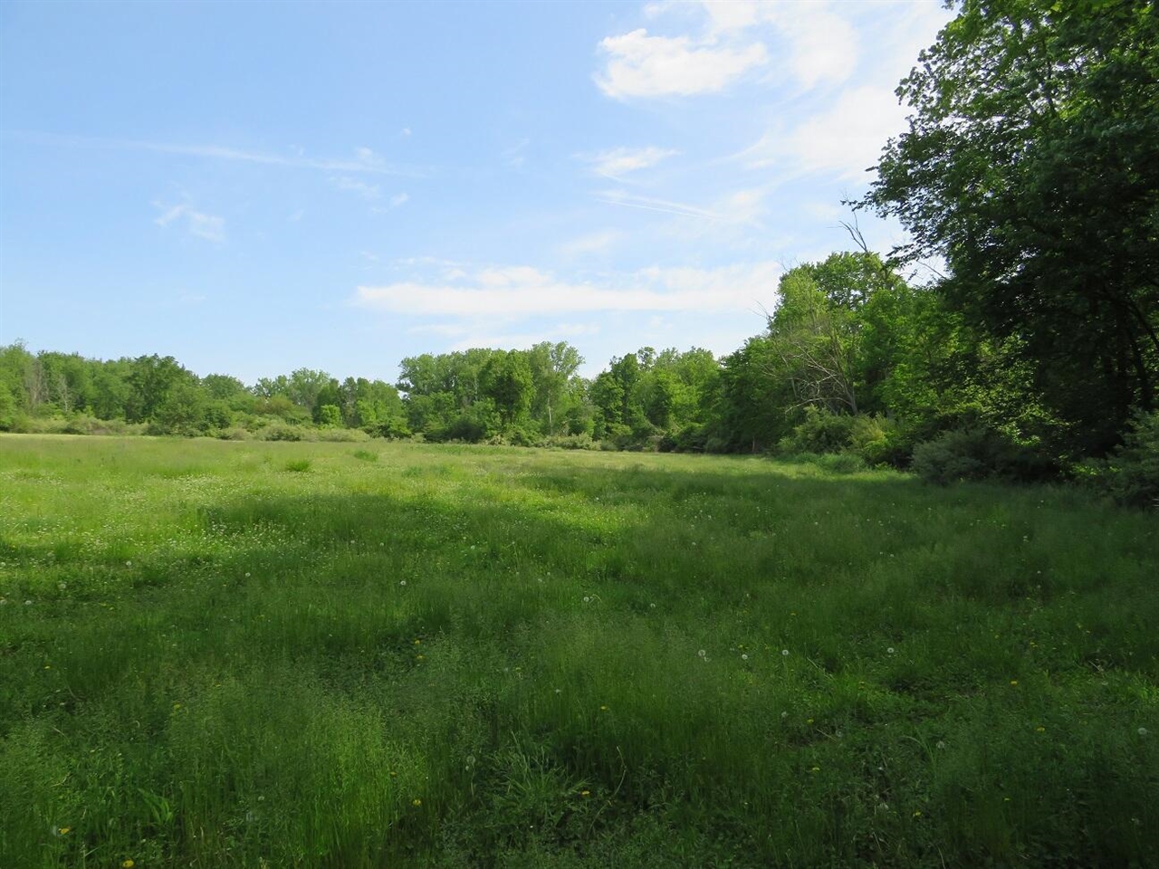 Photo 4 of Land for sale at Vl Rescue Rd, Update, MI 48754 | MLS# 70558357 | Listing updated on 2026-09-13