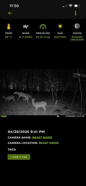 Photo 2 of Land for sale at 7700 Van Buren St, Hesperia, MI 49421 | MLS# 70558378 | Listing updated on 2026-09-13