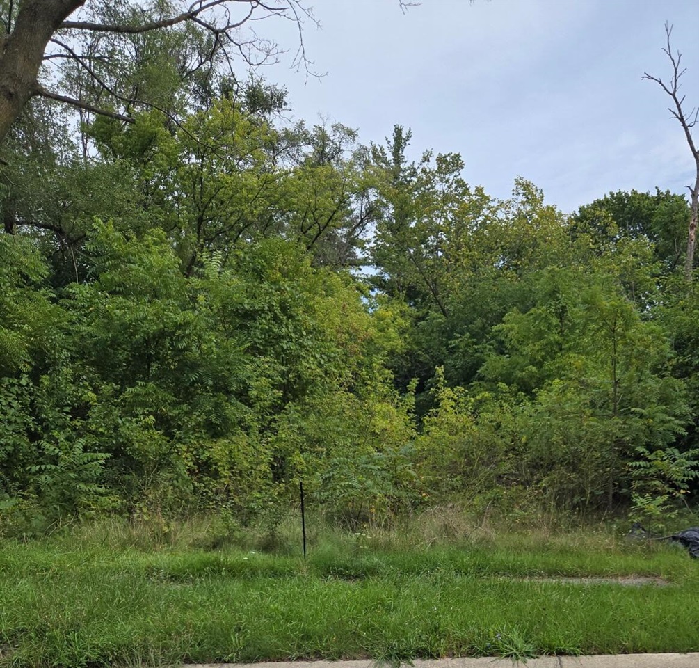 Photo 2 of Land for sale at 2204 Oakwood Ave, Saginaw, MI 48601 | MLS# 70558396 | Listing updated on 2026-09-13