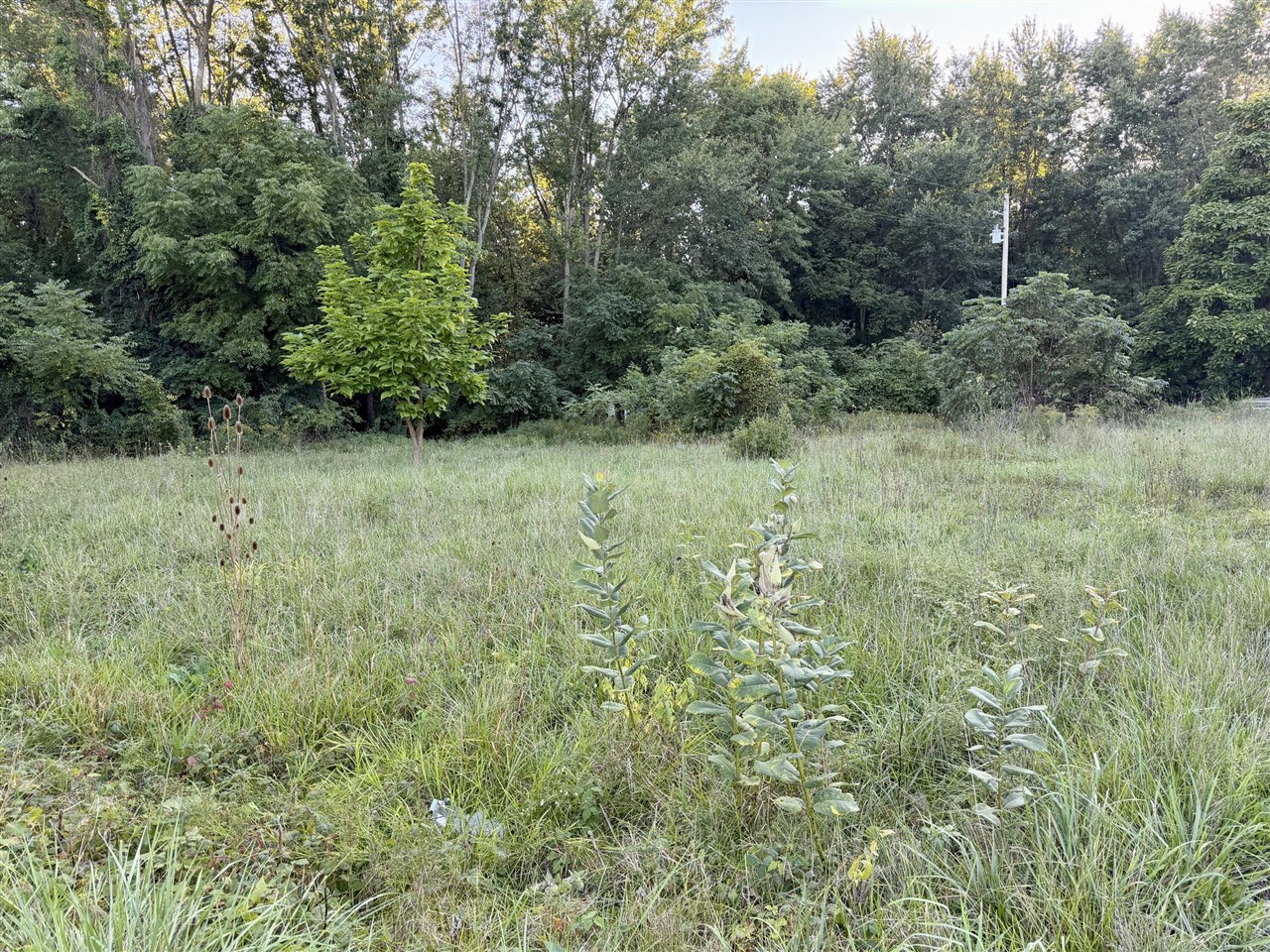 Photo 3 of Sale Pending at 4050 Division St, Wayland, MI 49348 | MLS# 70558452 | Listing updated on 2026-09-28