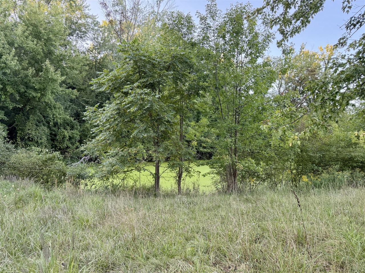 Photo 4 of Sale Pending at 4050 Division St, Wayland, MI 49348 | MLS# 70558452 | Listing updated on 2026-09-28