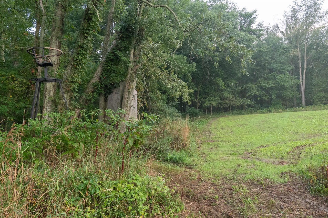 Photo 3 of Land for sale at 12000 Us 223, Manitou Beach, MI 49253 | MLS# 70558467 | Listing updated on 2026-09-17