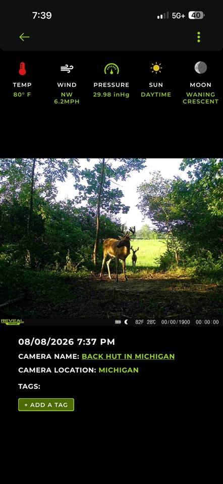 Photo 4 of Land for sale at 12000 Us 223, Manitou Beach, MI 49253 | MLS# 70558467 | Listing updated on 2026-09-17