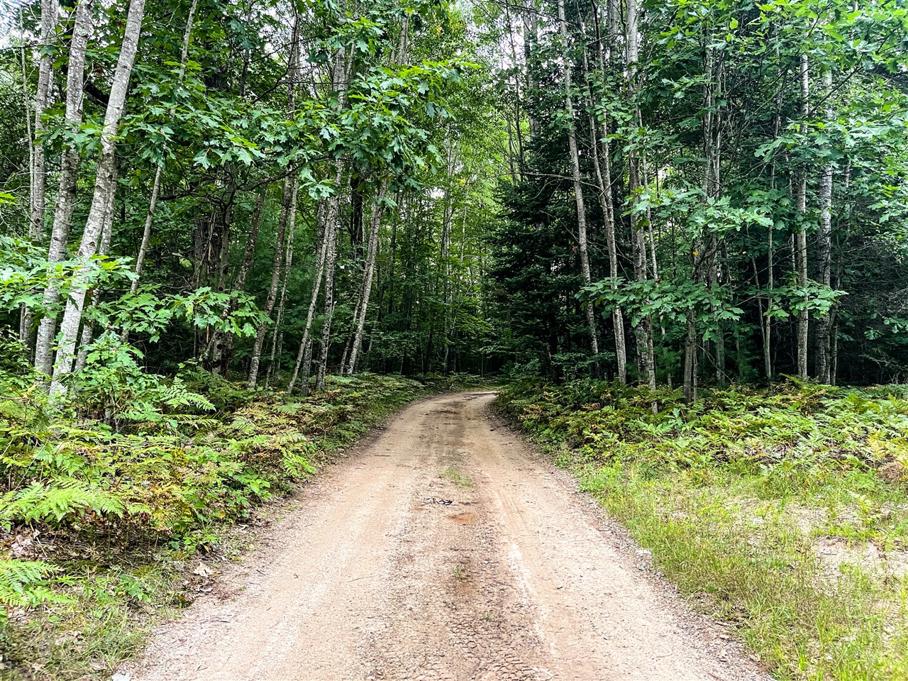 Photo 2 of Land for sale at 00 Big Bnd Dr, Evart, MI 49631 | MLS# 70558552 | Listing updated on 2026-09-16