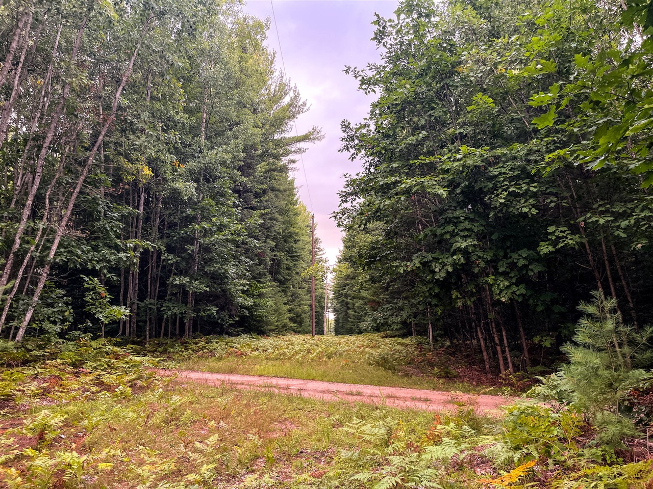Photo 3 of Land for sale at 00 Big Bnd Dr, Evart, MI 49631 | MLS# 70558552 | Listing updated on 2026-09-16