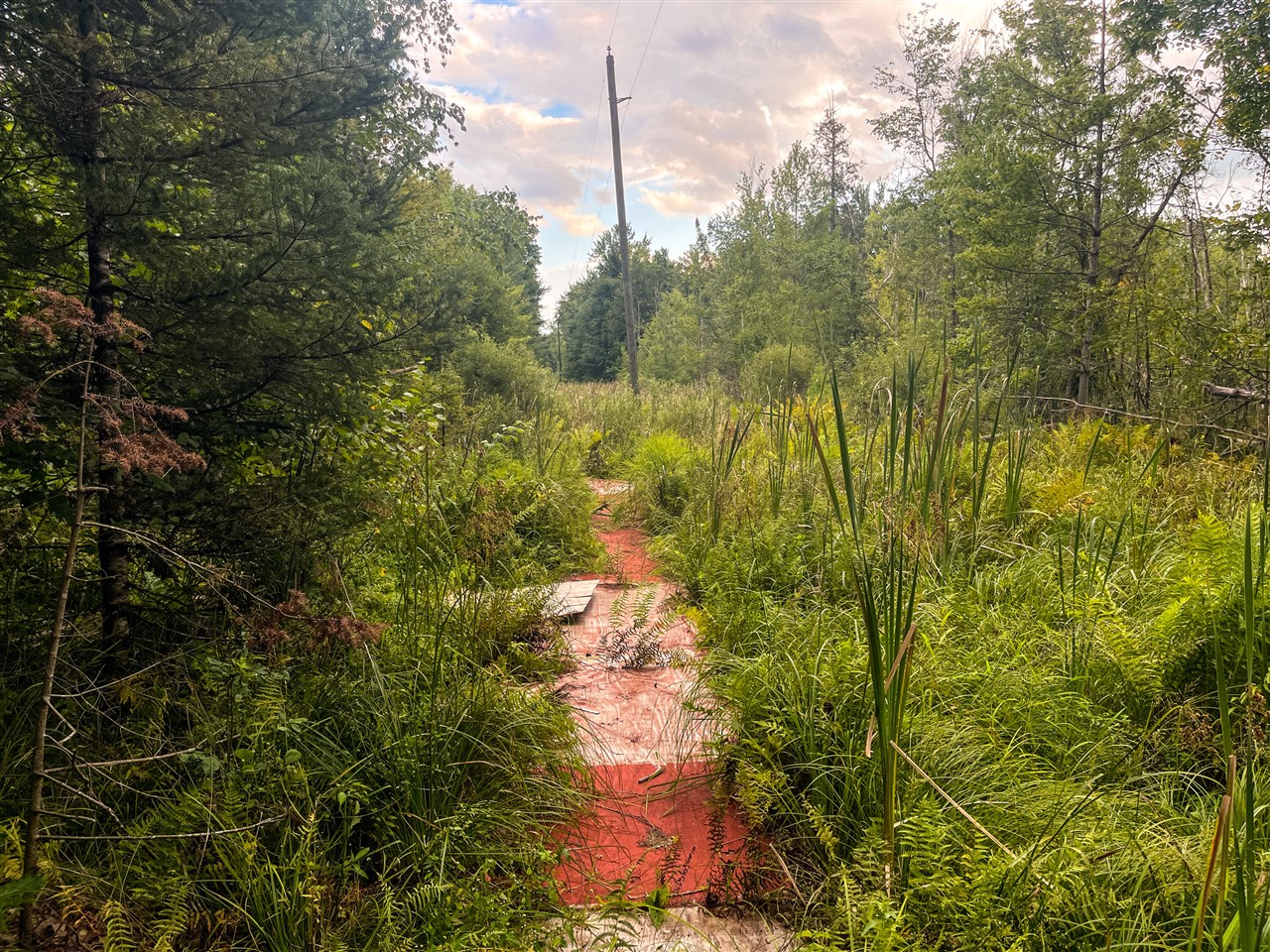 Photo 3 of Land for sale at 00 Big Bnd Dr, Evart, MI 49631 | MLS# 70558552 | Listing updated on 2026-09-16