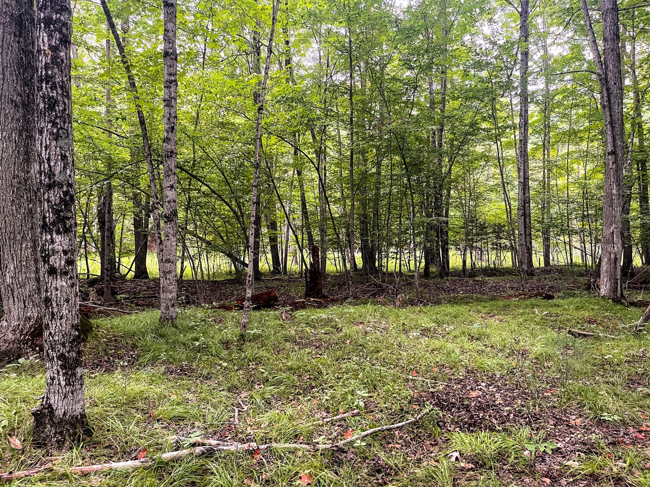 Photo 4 of Land for sale at 00 Big Bnd Dr, Evart, MI 49631 | MLS# 70558552 | Listing updated on 2026-09-16