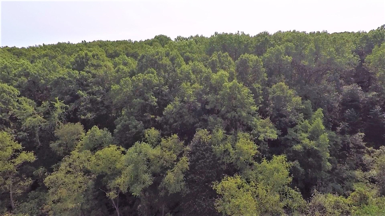 Photo 2 of Land for sale at 664 Grat Strasse Rd, Manchester, MI 48158 | MLS# 70558672 | Listing updated on 2026-09-15