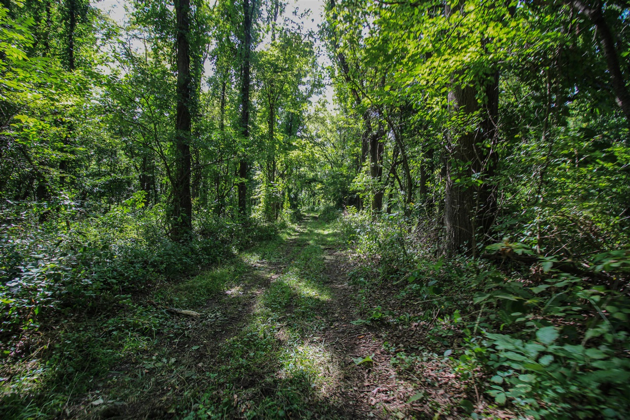Photo 1 of Land for sale at V/l Millard Rd, Three Rivers, MI 49093 | MLS# 70558717 | Listing updated on 2026-09-15