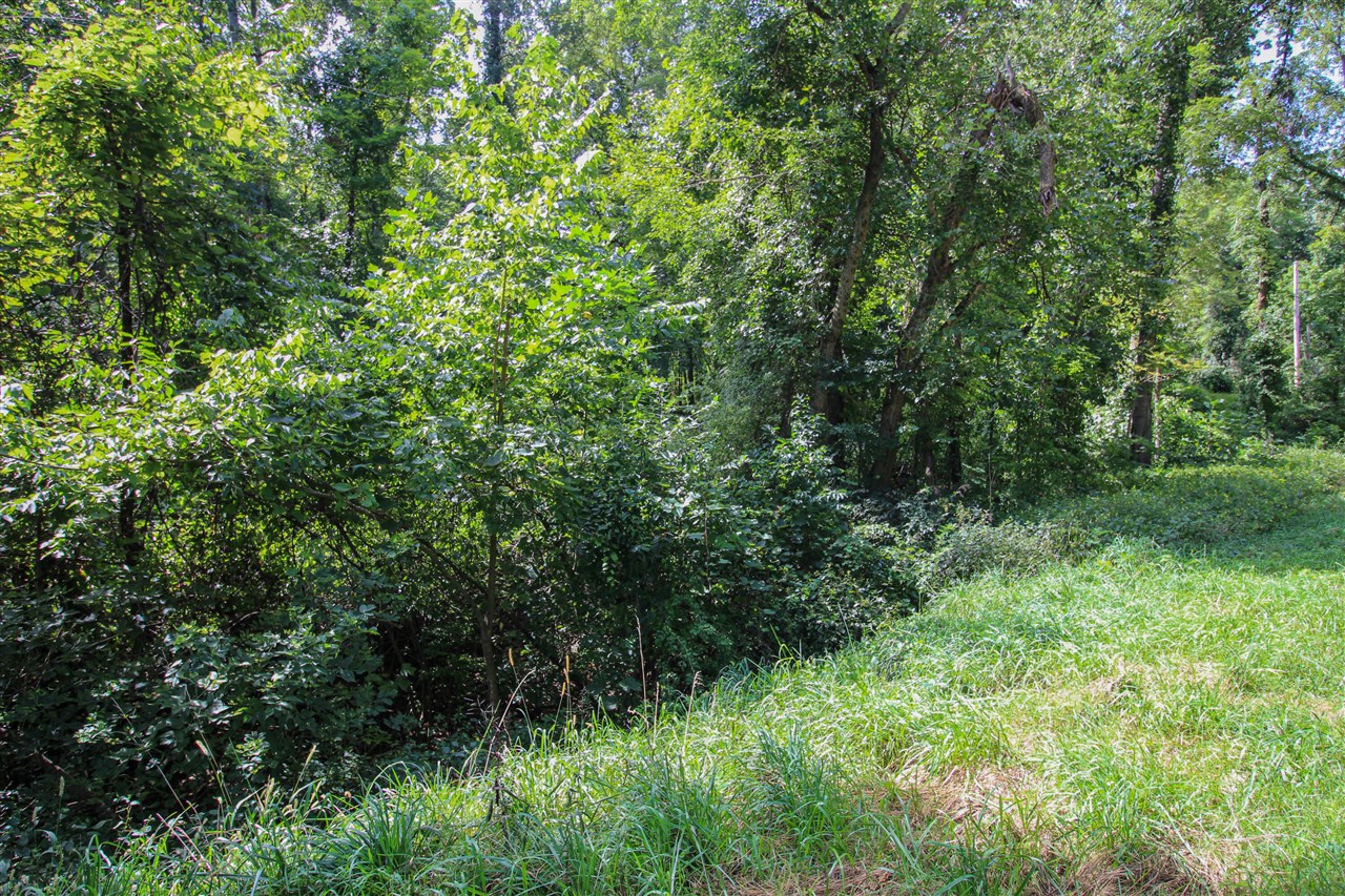 Photo 2 of Land for sale at V/l Millard Rd, Three Rivers, MI 49093 | MLS# 70558717 | Listing updated on 2026-09-15