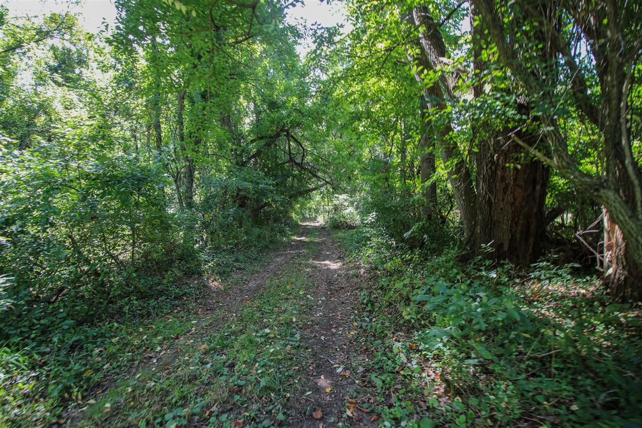 Photo 4 of Land for sale at V/l Millard Rd, Three Rivers, MI 49093 | MLS# 70558717 | Listing updated on 2026-09-15