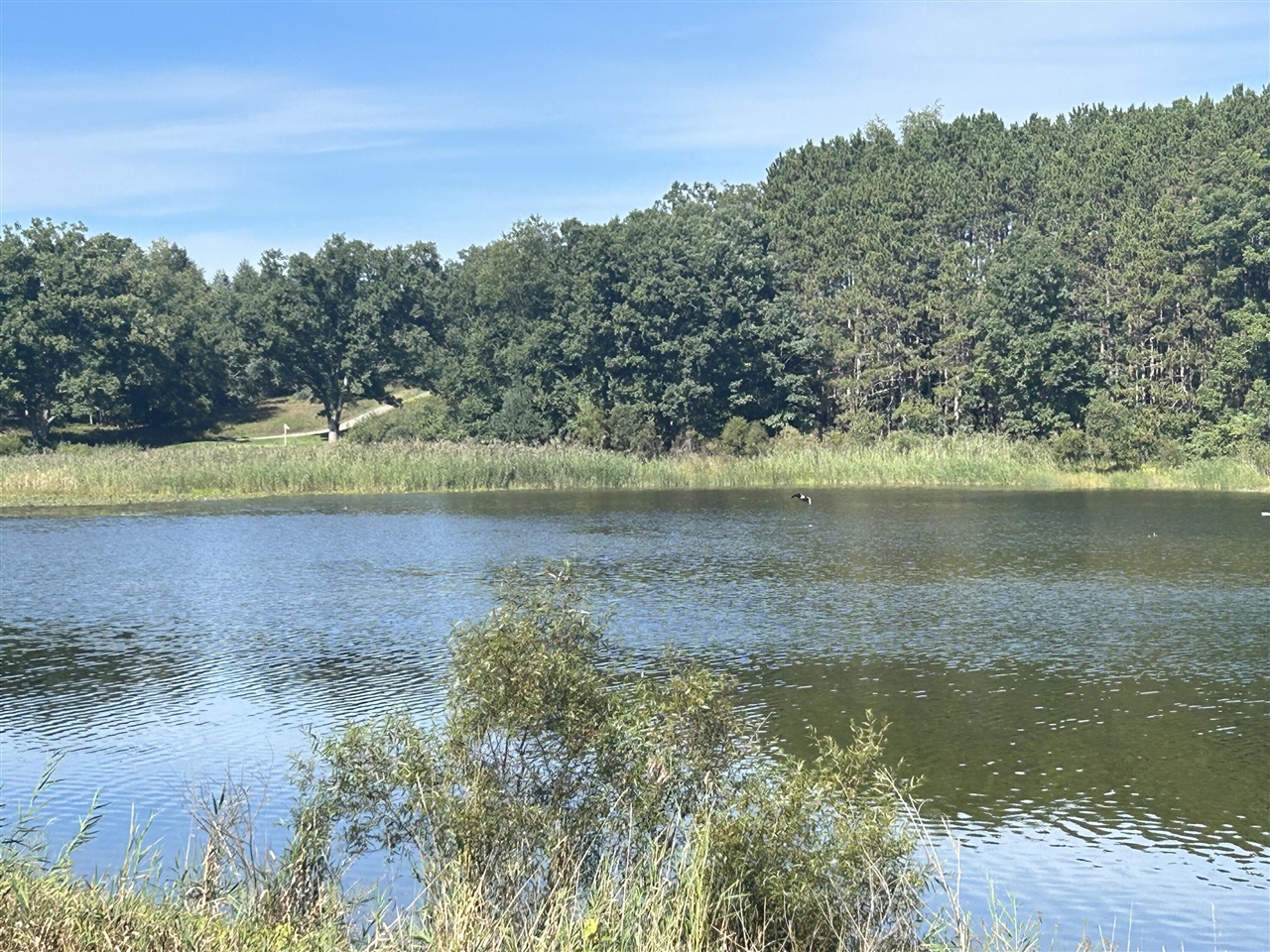 Photo 3 of Land for sale at 6806 Bantry Bay Ct, Stanwood, MI 49346 | MLS# 70558728 | Listing updated on 2026-09-15