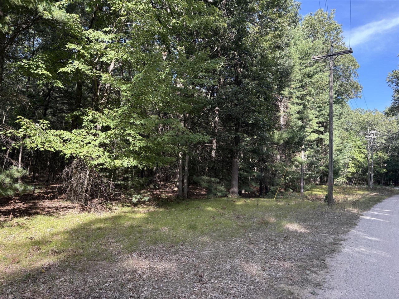 Photo 1 of Land for sale at Lot 136 Wayne Ave, Pentwater, MI 49449 | MLS# 70558782 | Listing updated on 2026-09-30