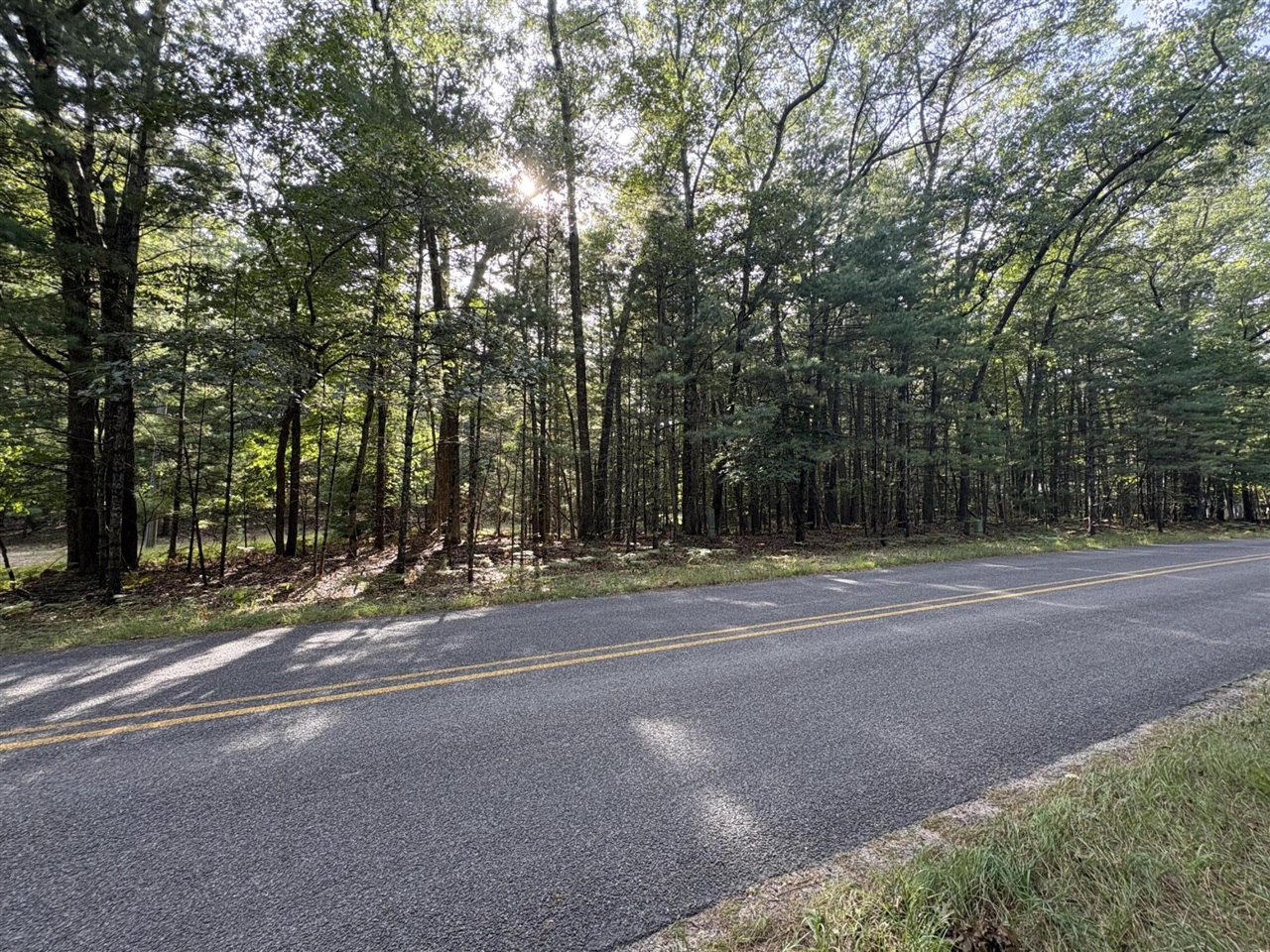 Photo 2 of Land for sale at Lot 136 Wayne Ave, Pentwater, MI 49449 | MLS# 70558782 | Listing updated on 2026-09-30