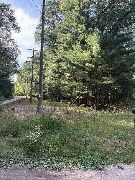 Photo 3 of Land for sale at Lot 136 Wayne Ave, Pentwater, MI 49449 | MLS# 70558782 | Listing updated on 2026-09-30