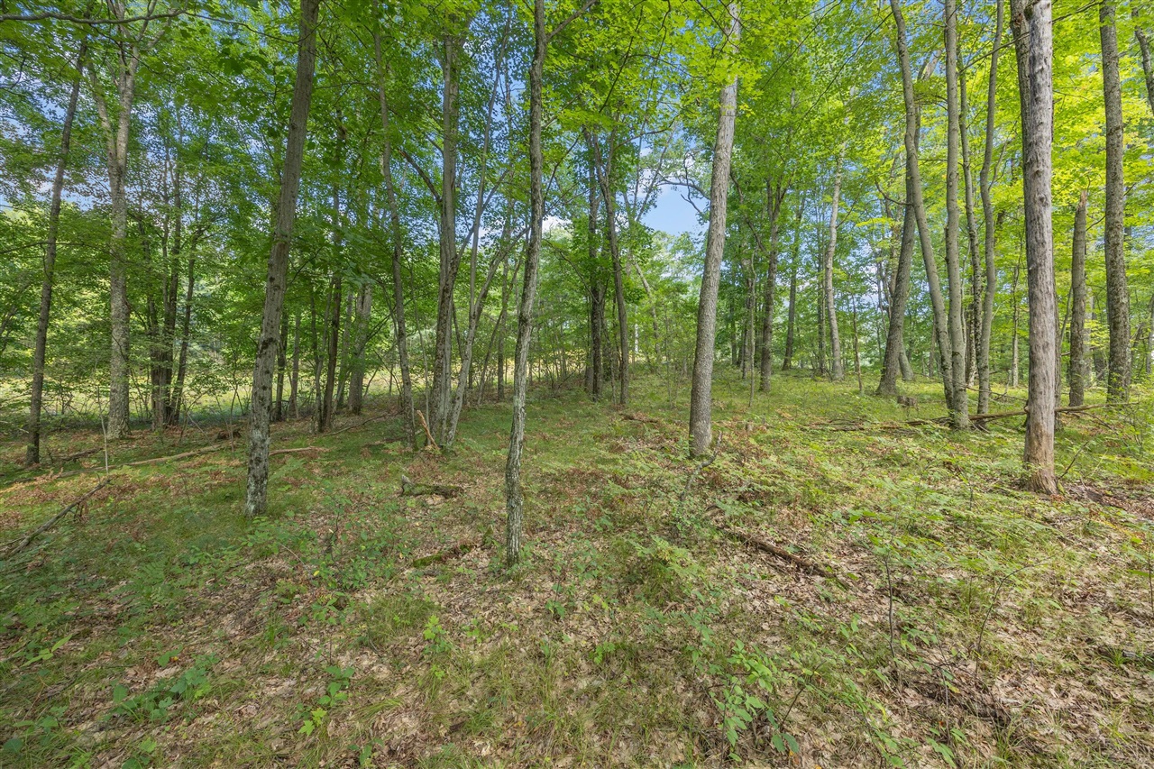 Photo 3 of Land for sale at 5888 US 10, Chase, MI 49623 | MLS# 70558949 | Listing updated on 2026-09-16
