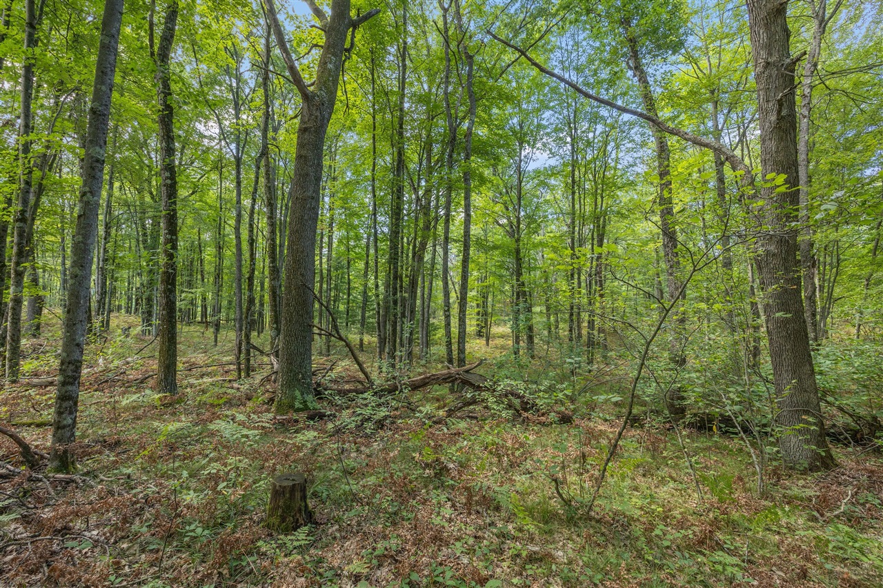 Photo 4 of Land for sale at 5888 US 10, Chase, MI 49623 | MLS# 70558949 | Listing updated on 2026-09-16