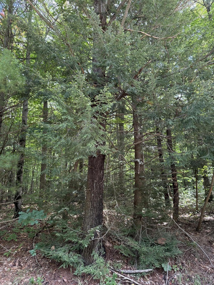 Land for sale at V/l Hyde Park Rd, Muskegon, MI 49445 | MLS# 70558996