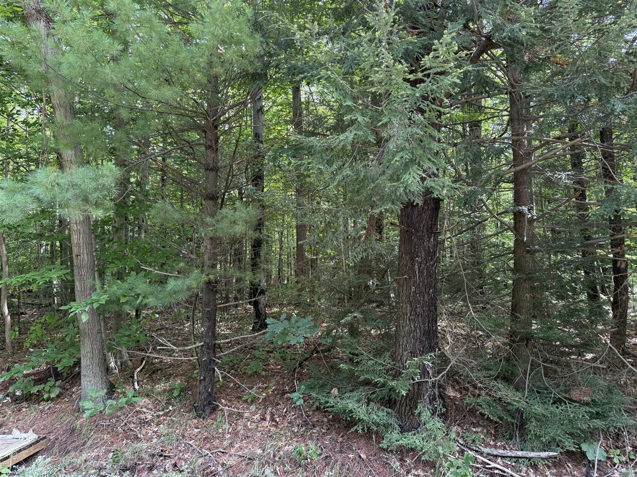 Photo 2 of Sale Pending at V/l Hyde Park Rd, Muskegon, MI 49445 | MLS# 70558996 | Listing updated on 2026-09-18