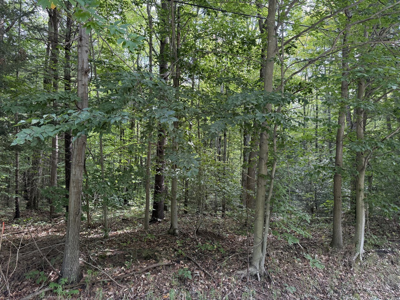 Photo 3 of Land for sale at V/l Hyde Park Rd, Muskegon, MI 49445 | MLS# 70558996 | Listing updated on 2026-09-17
