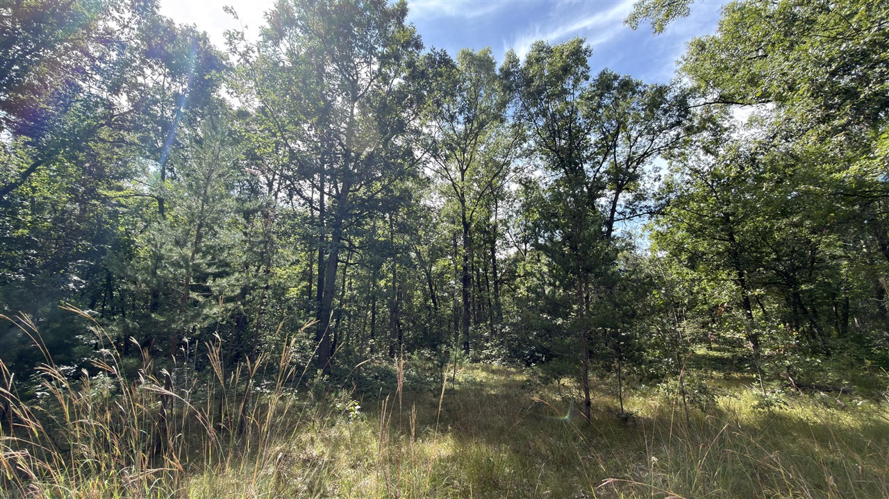 Photo 2 of Land for sale at 151 N Horseshoe Bnd Rd, Manistee, MI 49660 | MLS# 70559036 | Listing updated on 2026-09-18