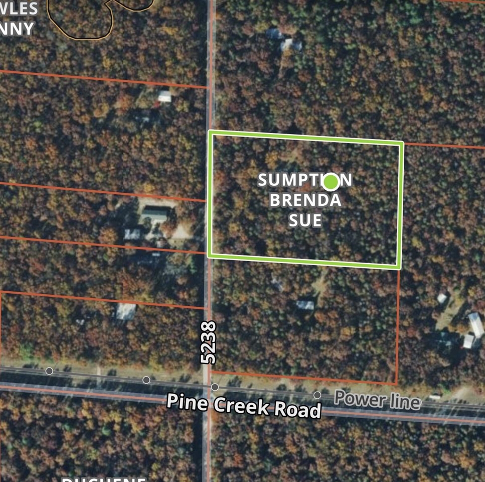 Photo 4 of Land for sale at 151 N Horseshoe Bnd Rd, Manistee, MI 49660 | MLS# 70559036 | Listing updated on 2026-09-18