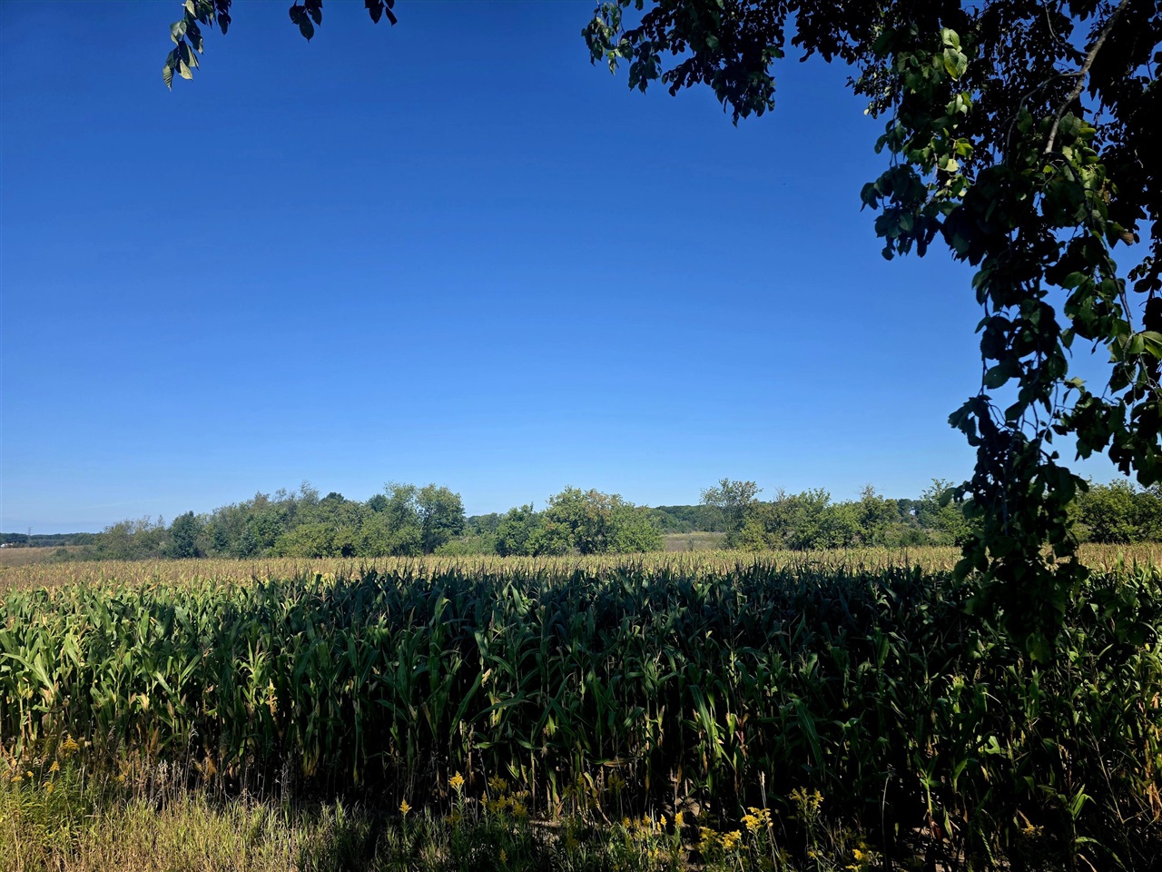 Photo 1 of Land for sale at W 24th Street, Fremont, MI 49412 | MLS# 70559047 | Listing updated on 2026-09-18