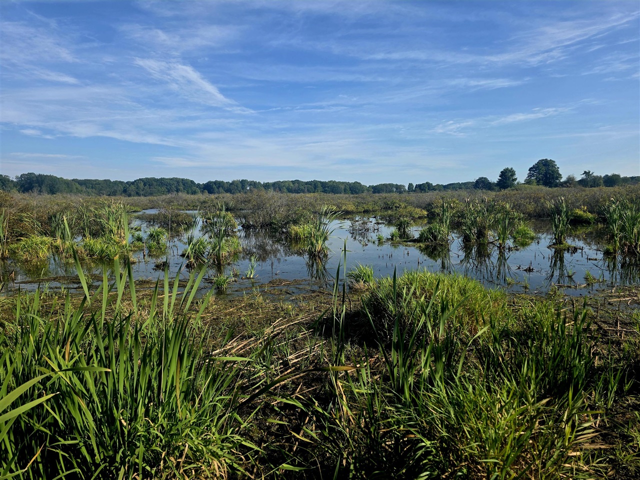 Photo 2 of Land for sale at W 24th Street, Fremont, MI 49412 | MLS# 70559047 | Listing updated on 2026-09-18