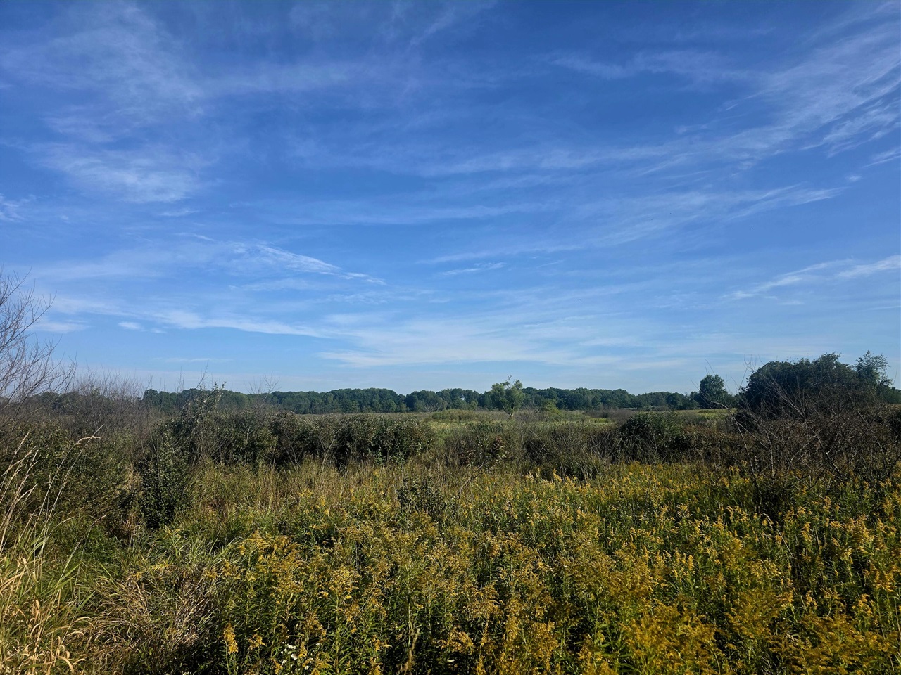 Photo 3 of Land for sale at W 24th Street, Fremont, MI 49412 | MLS# 70559047 | Listing updated on 2026-09-18