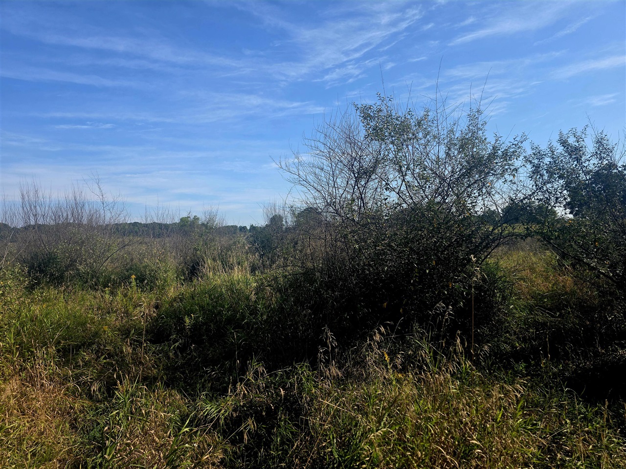 Photo 3 of Land for sale at W 24th Street, Fremont, MI 49412 | MLS# 70559047 | Listing updated on 2026-09-18