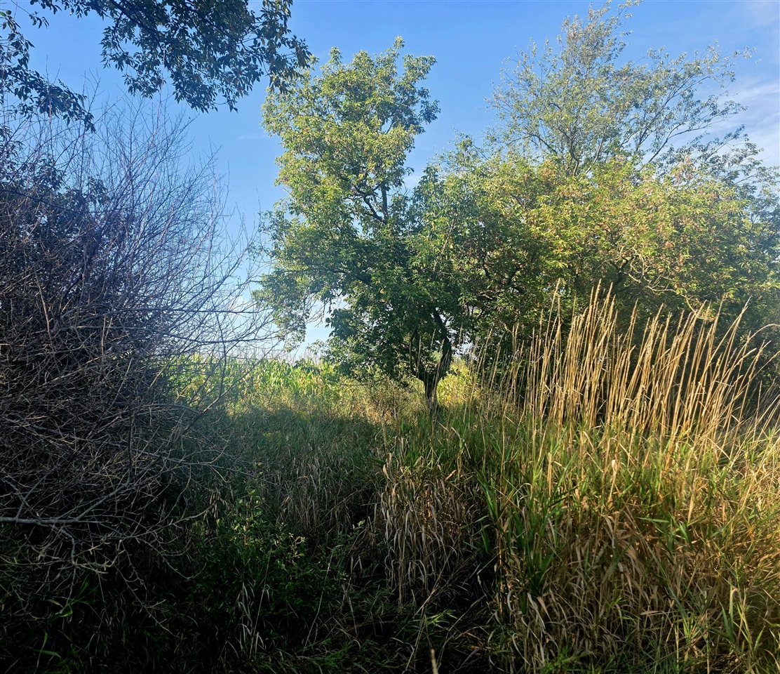 Photo 4 of Land for sale at W 24th Street, Fremont, MI 49412 | MLS# 70559047 | Listing updated on 2026-09-18