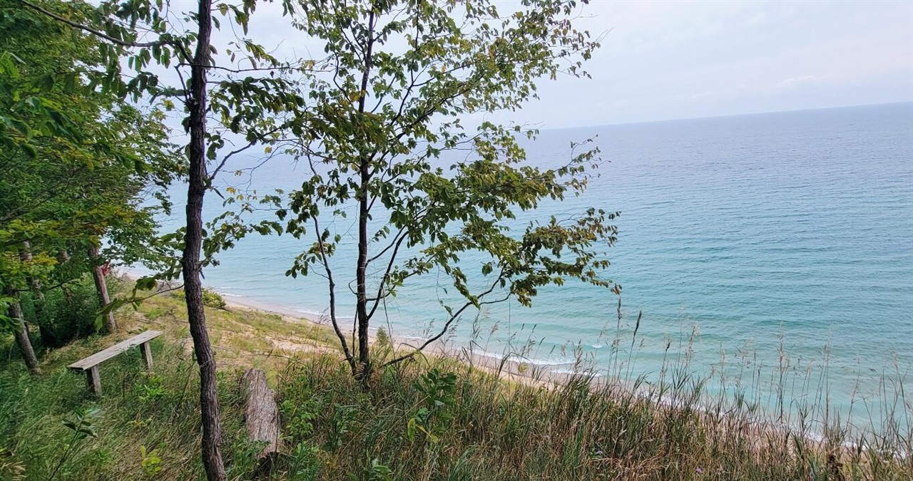 Photo 3 of Land for sale at 15200 V/l Lake Blf Rd Arcadia Mi, Arcadia, MI 49613 | MLS# 70559075 | Listing updated on 2026-09-19