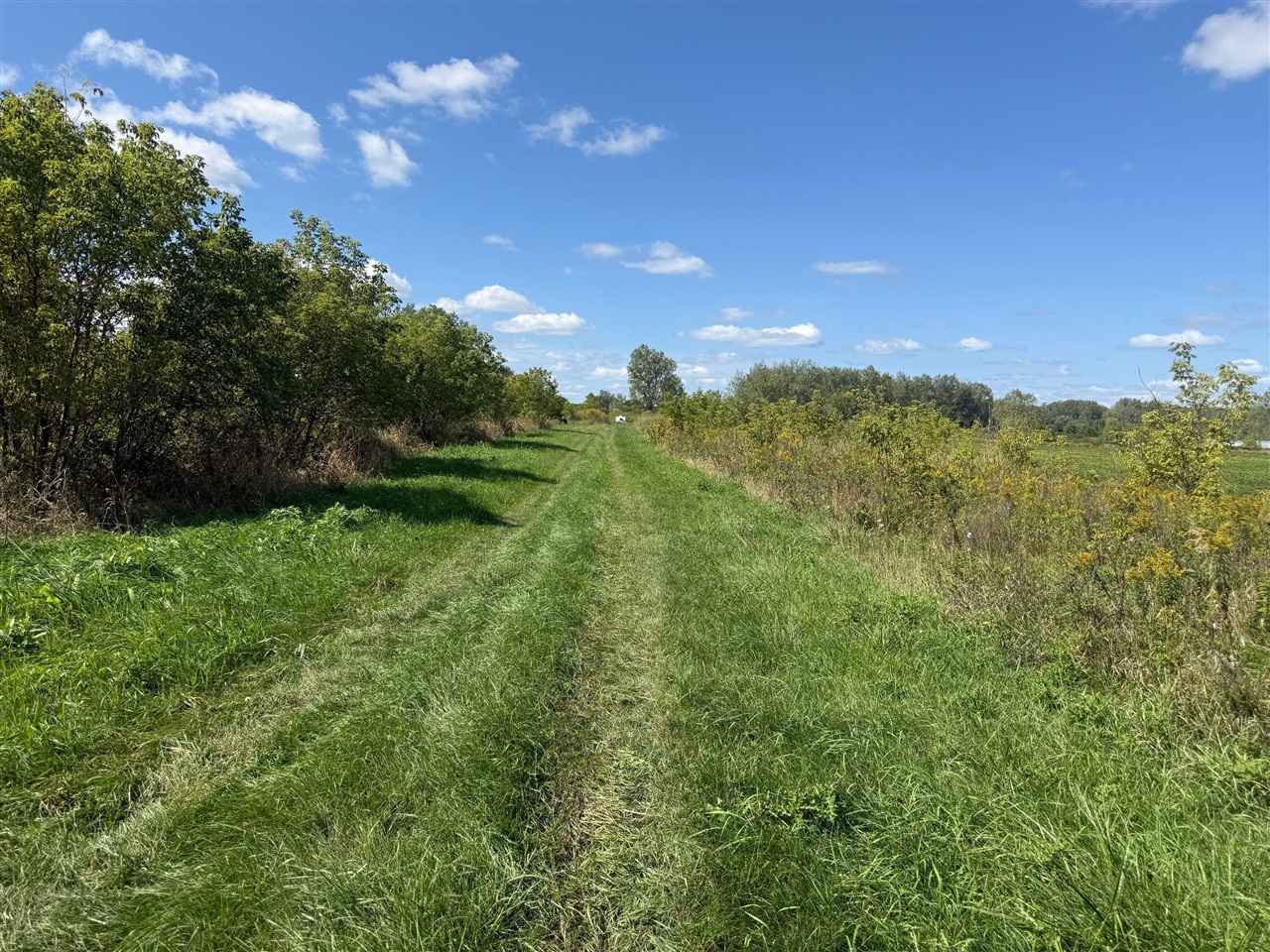 Photo 2 of Land for sale at V/l Cade Rd, Capac, MI 48014 | MLS# 70559119 | Listing updated on 2026-09-17