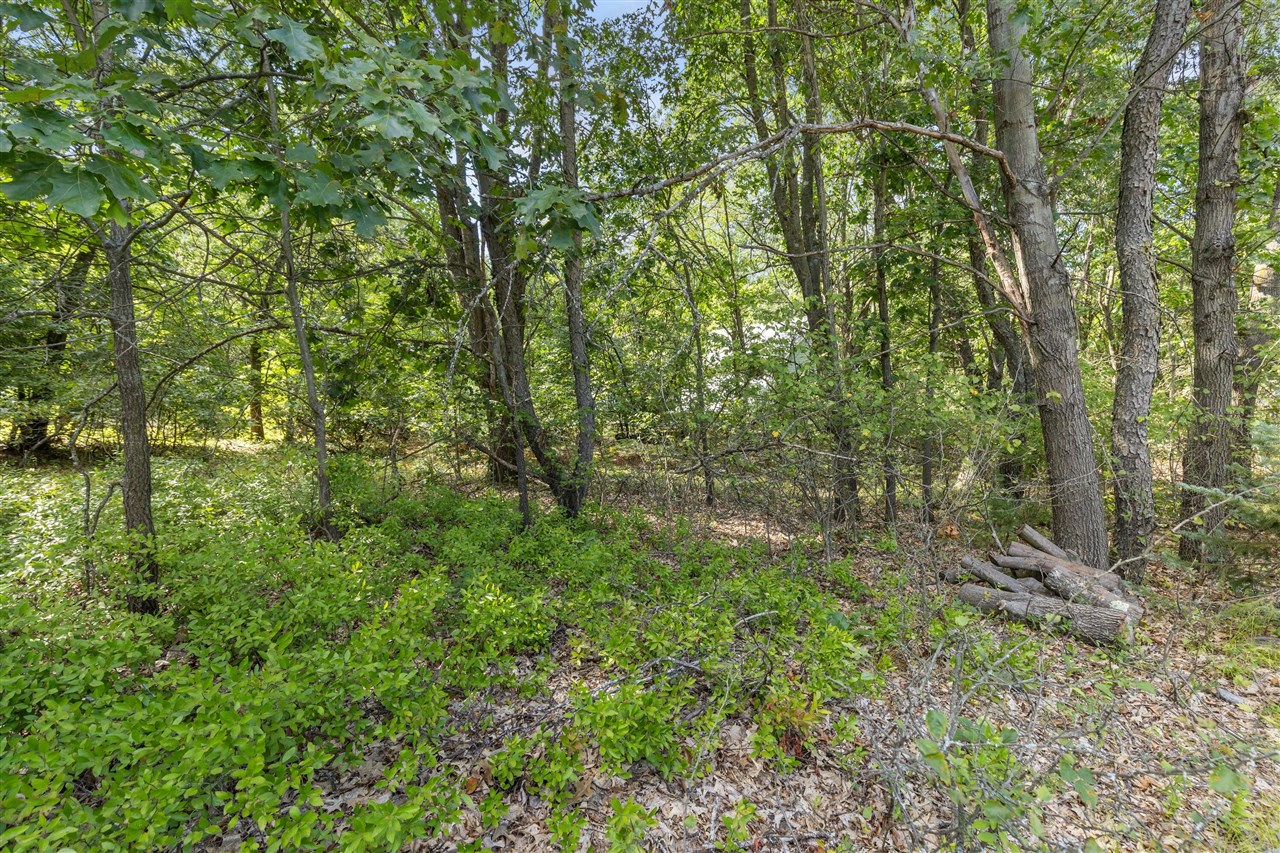 Photo 3 of Sale Pending at V/l Seneca Dr, Howard City, MI 49329 | MLS# 70559290 | Listing updated on 2026-10-02
