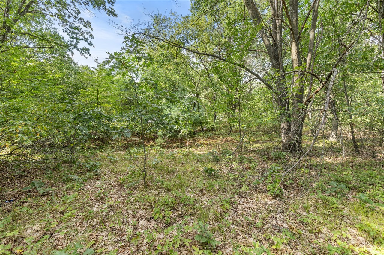 Photo 3 of Sale Pending at V/l Seneca Dr, Howard City, MI 49329 | MLS# 70559290 | Listing updated on 2026-10-02