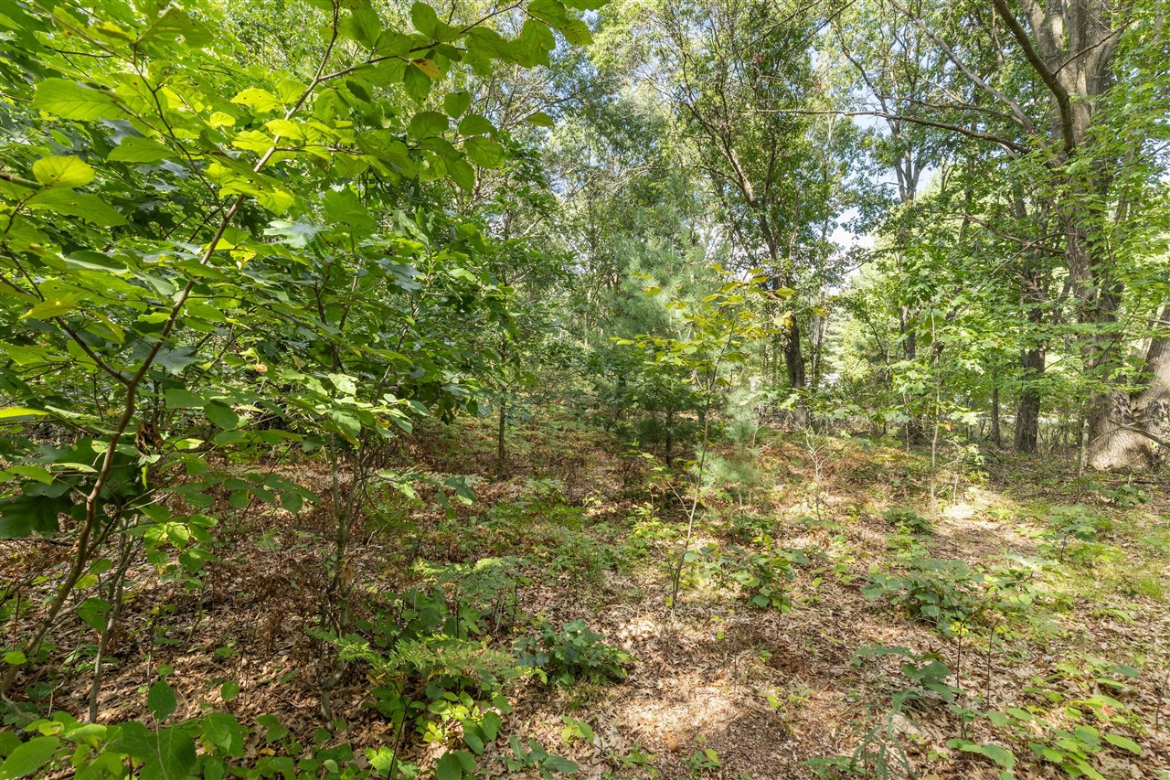 Photo 4 of Sale Pending at V/l Seneca Dr, Howard City, MI 49329 | MLS# 70559290 | Listing updated on 2026-10-02