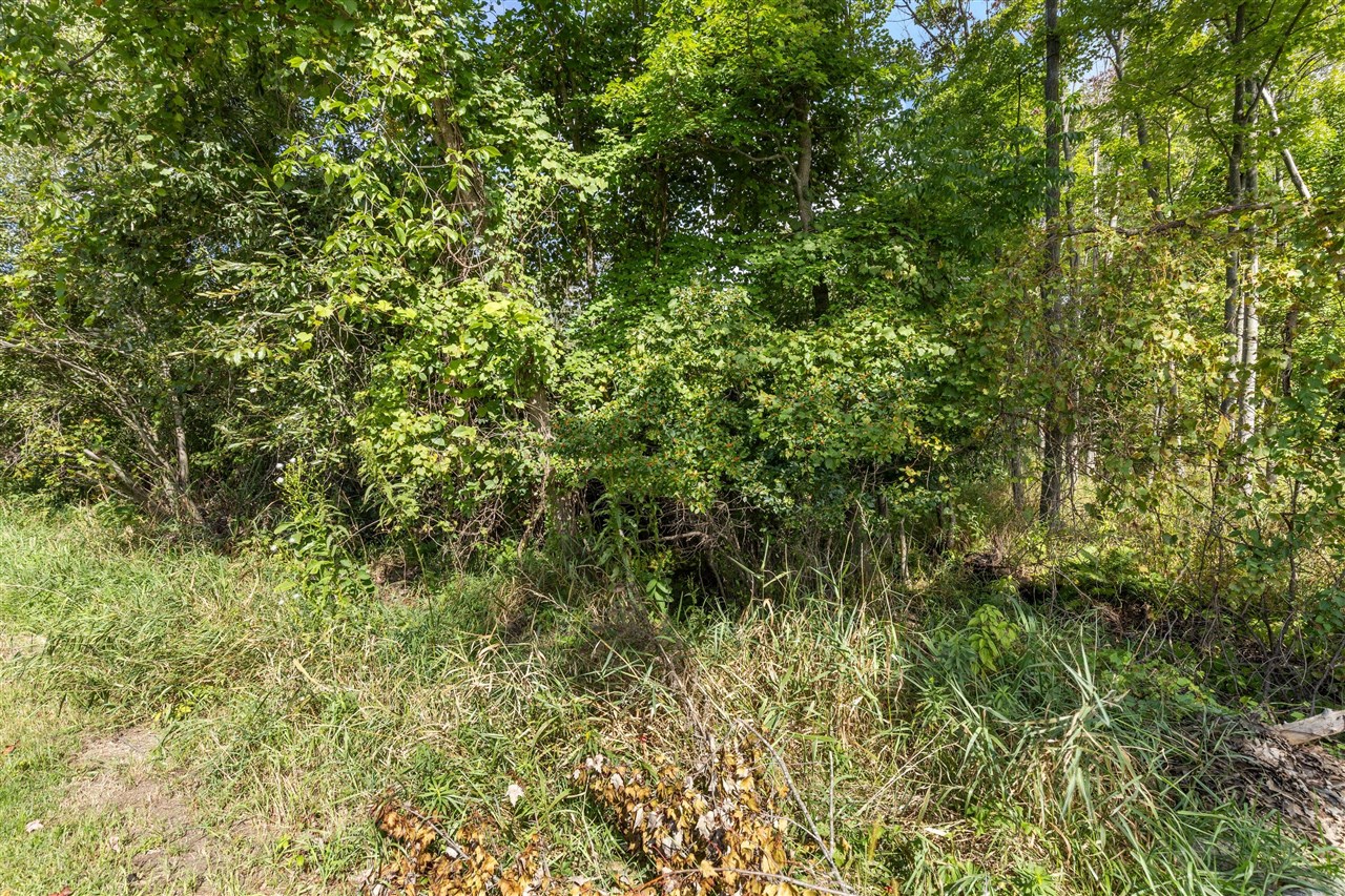 Photo 3 of Sale Pending at V/l Cochise Dr, Howard City, MI 49329 | MLS# 70559309 | Listing updated on 2026-09-27