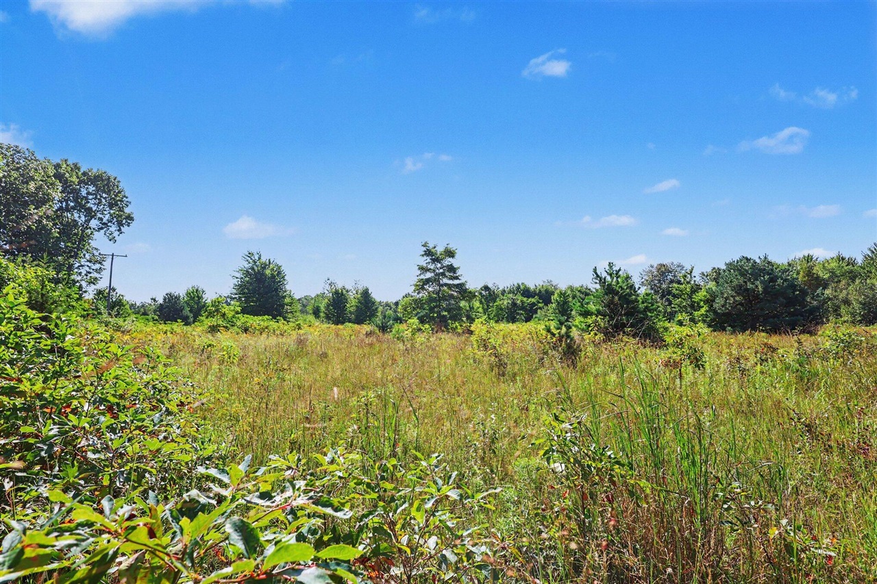 Photo 1 of Land for sale at Vacant 168th Avenue, Spring Lake, MI 49456 | MLS# 70559381 | Listing updated on 2026-09-18