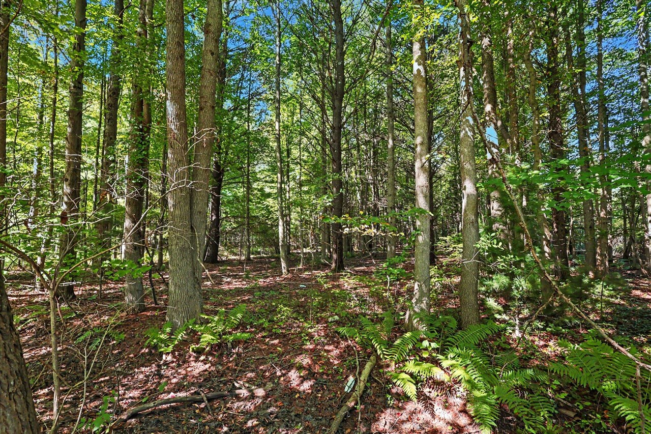 Photo 4 of Land for sale at Vacant 168th Avenue, Spring Lake, MI 49456 | MLS# 70559381 | Listing updated on 2026-09-18