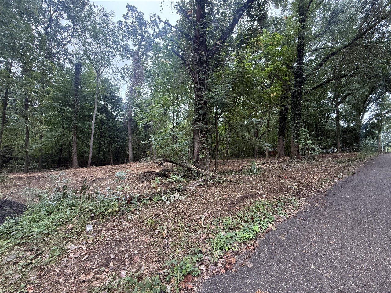 Photo 2 of Land for sale at Vl Lakeview Dr, Dowagiac, MI 49047 | MLS# 70559457 | Listing updated on 2026-09-26